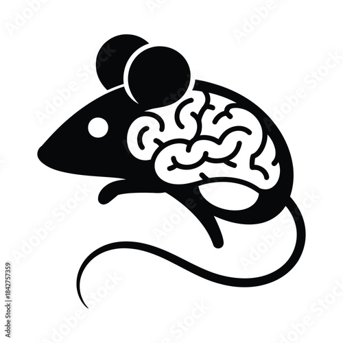 Mouse brain illustration