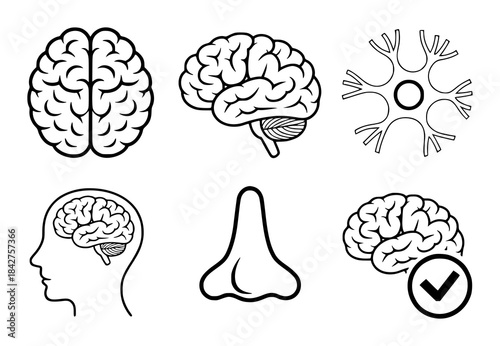 Black and white line of brain neuron profiles and nose outline head