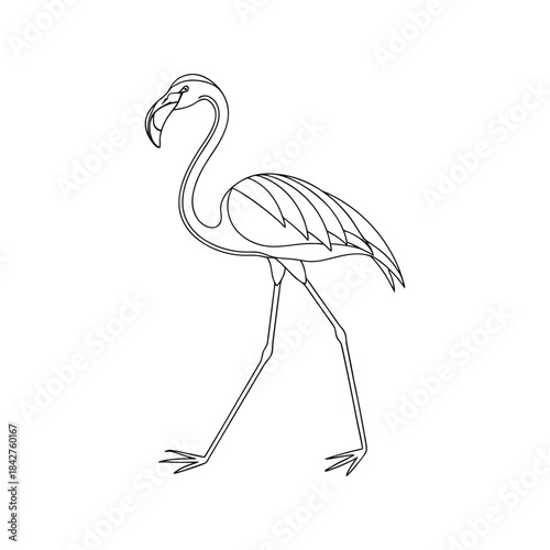 Flamingo Walking Outline Illustration bird wading bird