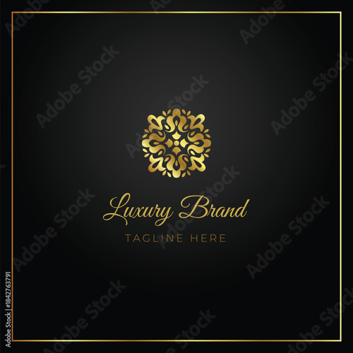 Elegant abstract geometric luxury logo design template
