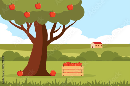 Red apple tree in the field landscape. Apple tree and apples in wooden crate. Vector stock