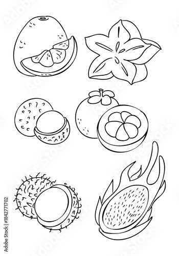 Hand drawn cutaway tropical fruits set with starfruit orange mangosteen rambutan and dragon fruit isolated on white background. This illustration represents exotic food variety healthy nutrition