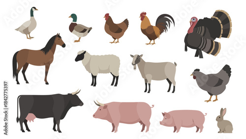 Diverse Farm Animals Collection: Horse, Cow, Sheep, Pig, Rooster, Turkey, Ducks, Rabbit