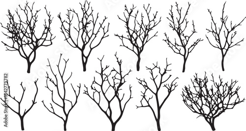 Bare Tree Branch Silhouette Set Vector Illustration