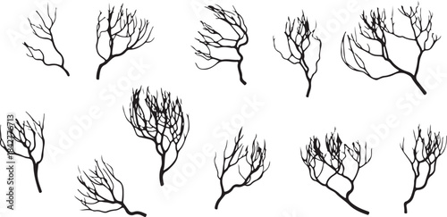 Bare Tree Branch Silhouette Set Vector Illustration