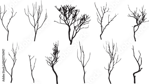 Bare Tree Branch Silhouette Set Vector Illustration