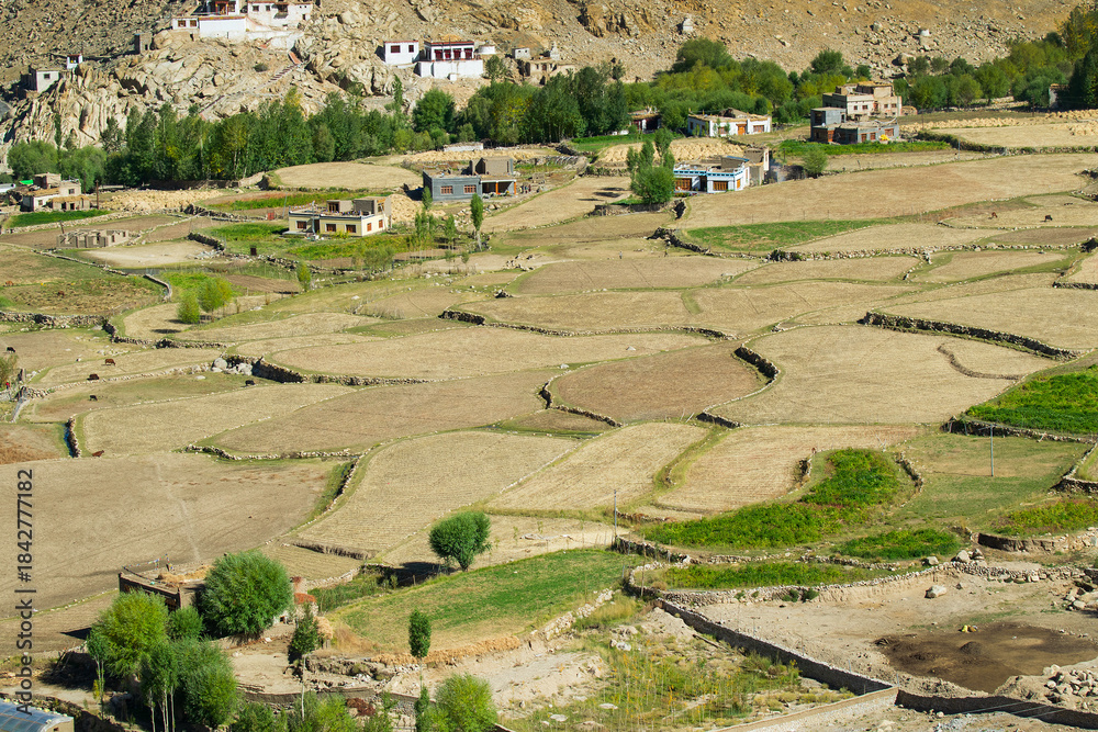 Fototapeta premium Chang La is a high mountain pass in Ladakh in Greater Himalaya between Leh and Shyok River valley. View of Himalayan agriculture and village below as seen from Chang La, on Leh to Pangong Lake road.