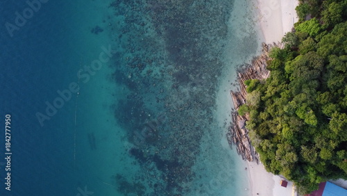 Wallpaper Mural Drone image of tropical coastline with forest, sandy beach, rocky shore, turquoise water, and coral. Torontodigital.ca