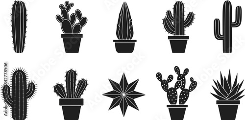 Various Desert Plant Species in Pots and Isolated, Perfect for Western or Home Decor Design