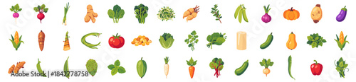 vegetables collection, big assorted set, isolated flat style vector illustration	
