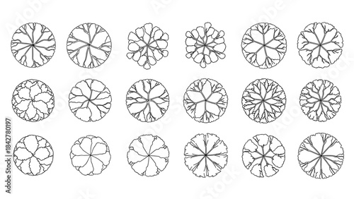 Set of 12 distinct architectural tree symbols in plan view, top-down perspective, minimalist CAD style, black outline on white background, no fill, uniform line weight, perfectly circular and organic.