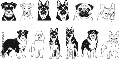 Black and white line art illustration set of popular dog breeds heads and full bodies, vector silhouette icon pack for pet and animal designs