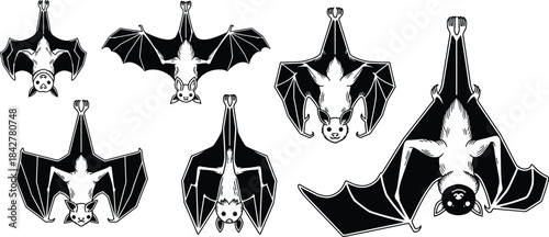 Black and white set of six different flying fox or fruit bats hanging upside down with varying wing positions, isolated vector illustrations for Halloween design elements.