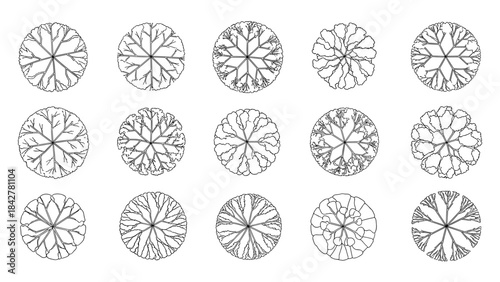 Minimalist CAD Tree Top View Vector Set for Architectural Site Plans