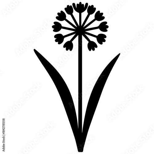Black and white minimalist vector illustration of a wildflower with a round cluster of small heart-shaped petals, long stem and two leaves, isolated on a white background.