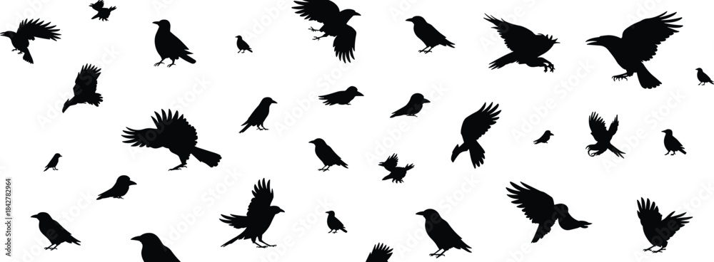 Obraz premium Black bird silhouettes collection featuring flying and perched crows, ravens, and songbirds for design, nature art, wildlife illustration and backgrounds.