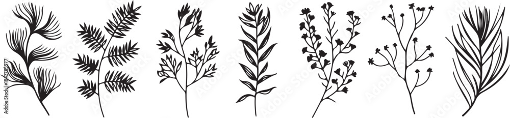 Fototapeta premium Set of Botanical Hand Drawn Vector Elements