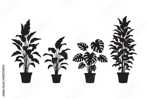 Houseplants Silhouette Vector Set