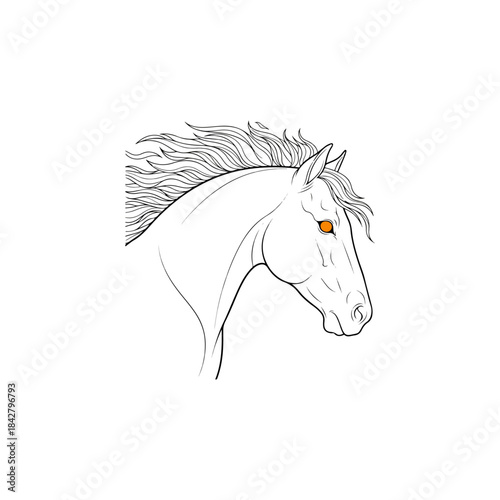 Elegant Profile Of A Horse Head Sketch.