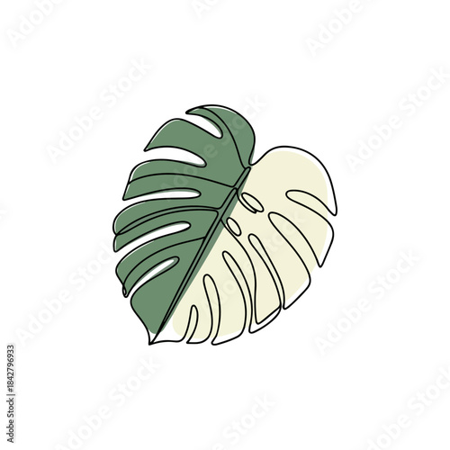 Monstera leaf illustration half green and half cream.