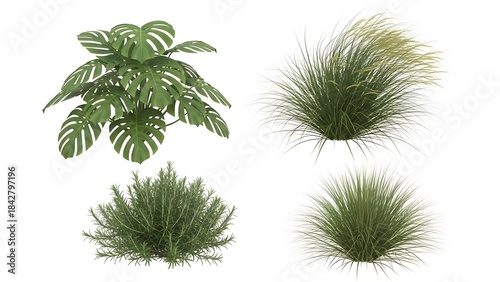 Wallpaper Mural A collection of diverse green plants including monstera and ornamental grass Torontodigital.ca