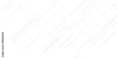 Abstract modern white and gray triangle design with layers of textured. Geometric layered curve line white background, concept geometric line vector.