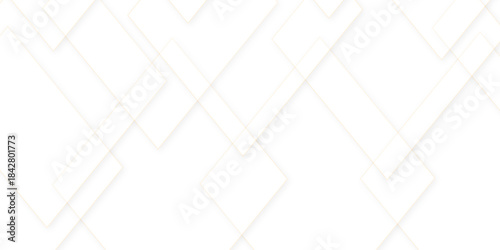 Abstract modern white and gray triangle design with layers of textured. Geometric layered curve line white background, concept geometric line vector.