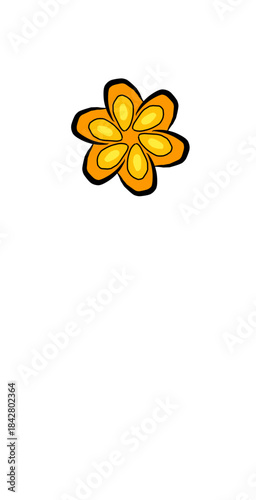 yellow flower on white background