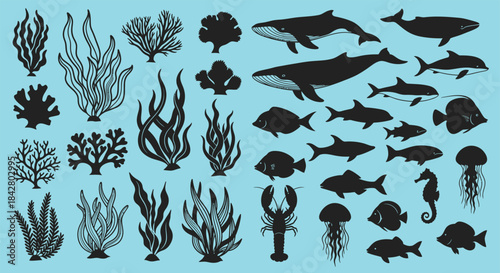 Collection of hand drawn silhouettes of ocean life and underwater plants