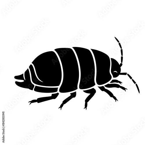 Beetle Silhouette Icon – Insect Bug Minimal Black Vector Illustration