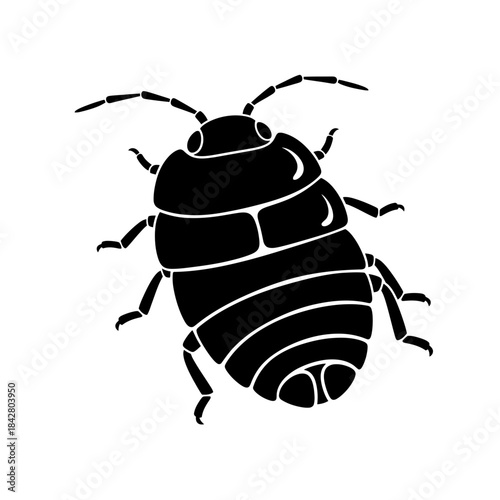 Beetle Silhouette Icon – Insect Bug Minimal Black Vector Illustration