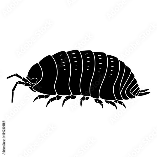 Beetle Silhouette Icon – Insect Bug Minimal Black Vector Illustration