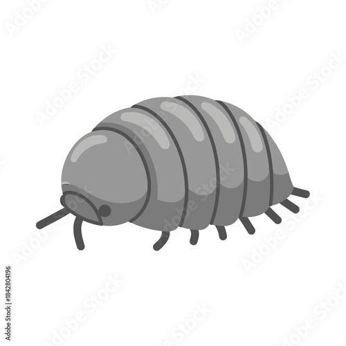 Pill Bug Illustration – Isopod Woodlouse Roly Poly Vector Icon