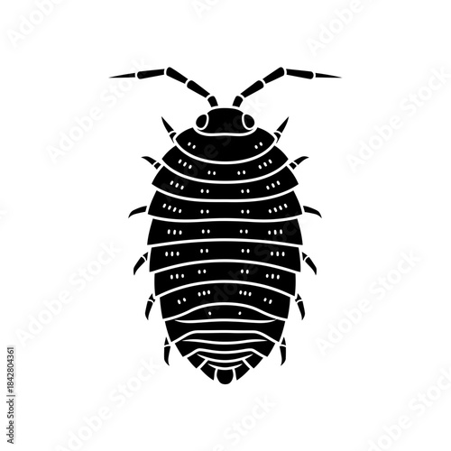 Beetle Silhouette Icon – Insect Bug Minimal Black Vector Illustration