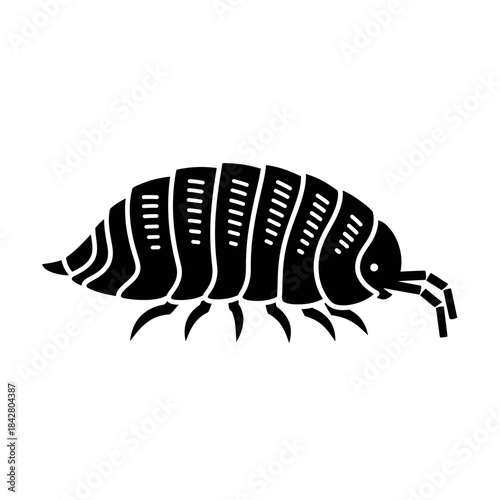 Beetle Silhouette Icon – Insect Bug Minimal Black Vector Illustration