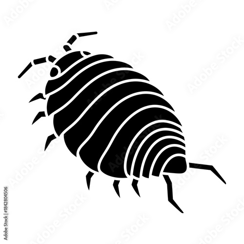 Beetle Silhouette Icon – Insect Bug Minimal Black Vector Illustration