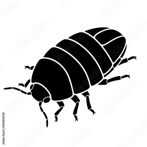 Beetle Silhouette Icon – Insect Bug Minimal Black Vector Illustration