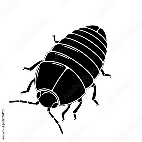 Beetle Silhouette Icon – Insect Bug Minimal Black Vector Illustration