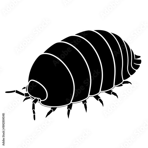 Beetle Silhouette Icon – Insect Bug Minimal Black Vector Illustration