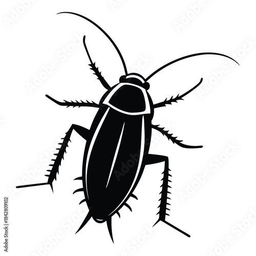 Cockroach Silhouette Vector, Detailed Insect Line Art.