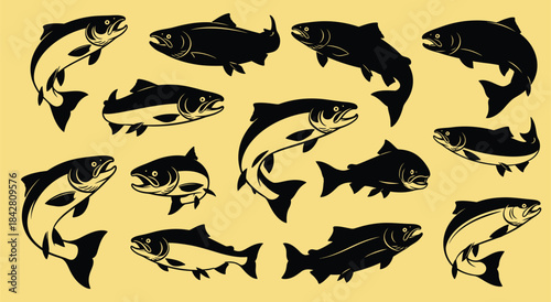Collection of dynamic black and white illustrations of various jumping fish species