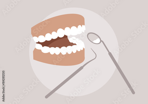 A visual guide showcases dental hygiene tools alongside a detailed jaw model emphasizing the essential practices for keeping teeth and gums healthy