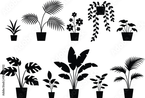 Potted plant, silhouette, foliage, indoor, botanical, black, vector, icon, decorative, nature, leaf, hanging, flower, design, shape, structure, illustration, houseplant, garden, style