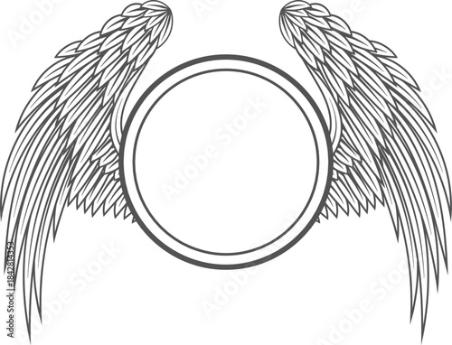 The wings of a bird are drawn in black and white