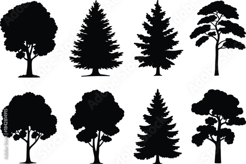 Tree silhouette, black, foliage, shape, branching, forest, nature, icon, vector, design, botanical, outdoor, plant, structure, landscape, illustration, decorative, seasonal, environment, style