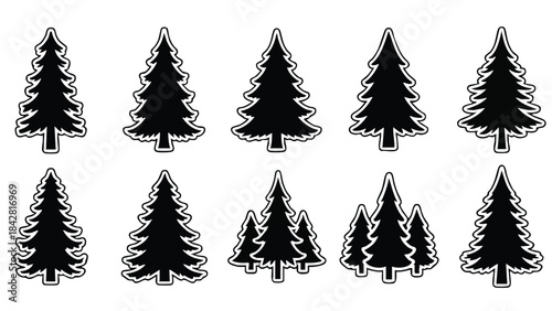 Illustration of various pine trees in black and white graphic style on clean background