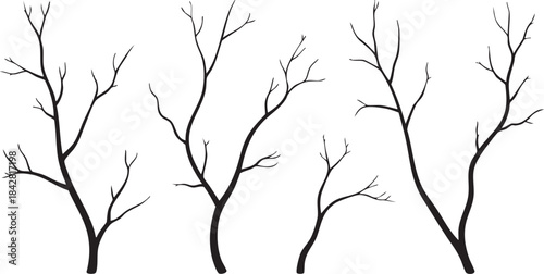 Vector collection of black silhouettes of tree branches isolated on white background	
