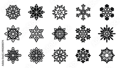 A collection of unique snowflakes are illustrated in black on a white background.