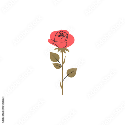 red rose isolated on white background