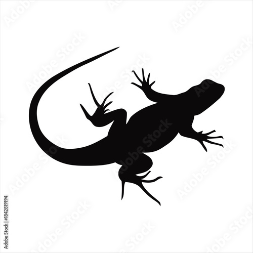 A Detailed Silhouette of a Lizard's Dynamic Pose, Showcasing its Reptilian Form and Agile Nature Against a Clean White Background